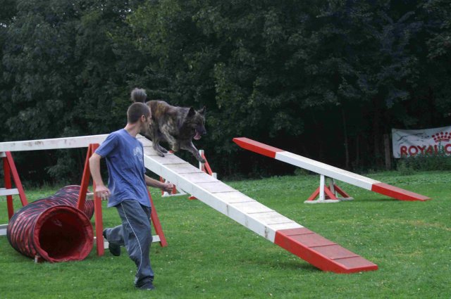 agility 2011-09-20