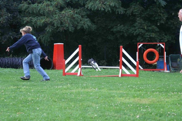 agility 2011-09-20