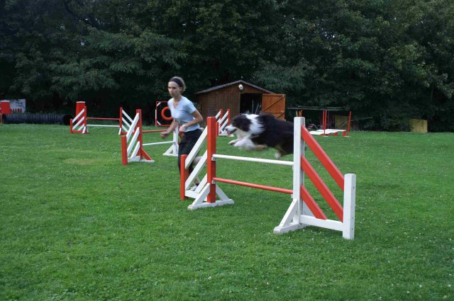 agility 2011-09-20
