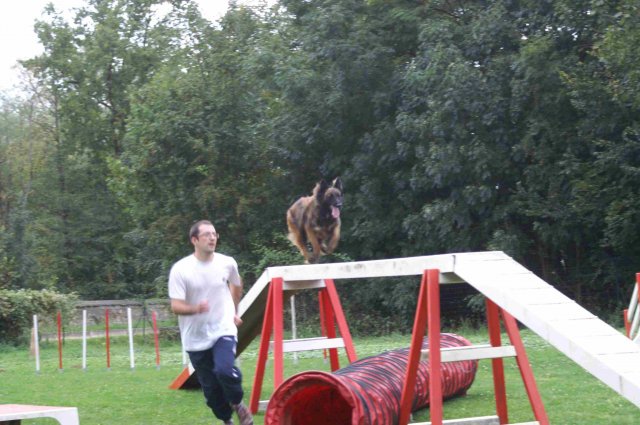 agility 2011-09-20