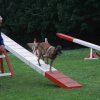 agility 2011-09-20