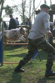 entrainement 02-03-2014