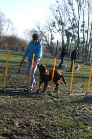 entrainement 02-03-2014