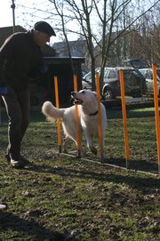 entrainement 02-03-2014