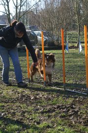 entrainement 02-03-2014