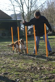 entrainement 02-03-2014