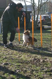 entrainement 02-03-2014