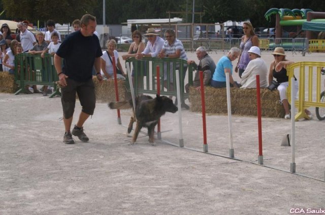 2009-08-30-vert-le-grand