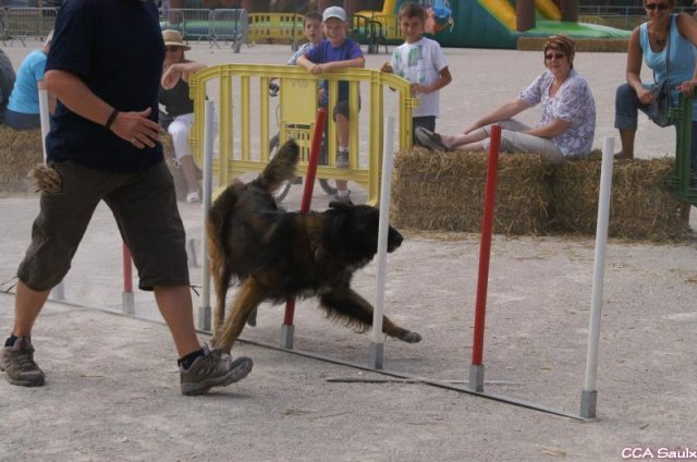 2009-08-30-vert-le-grand