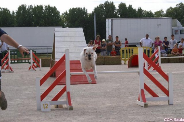 2009-08-30-vert-le-grand