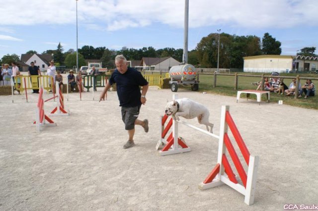 2009-08-30-vert-le-grand
