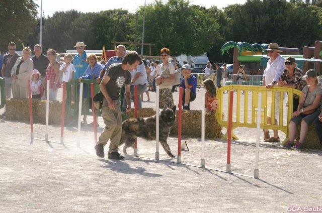2009-08-30-vert-le-grand