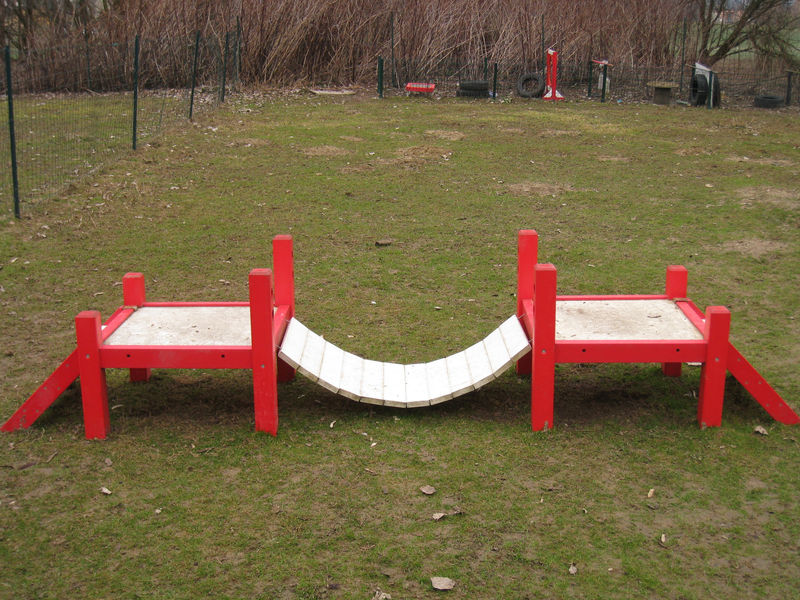 Parcours initiation chiot parcours chiot2