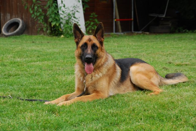 fête du club 18-06-2016