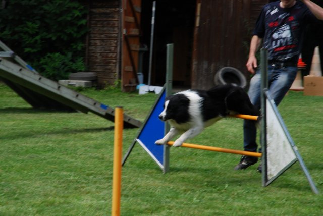 fête du club 18-06-2016