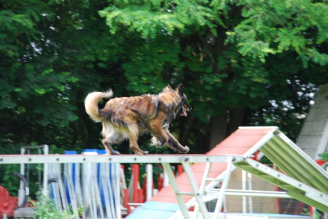 fête du club 18-06-2016