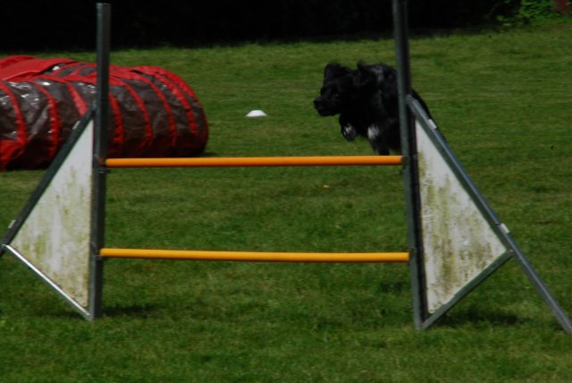 fête du club 18-06-2016