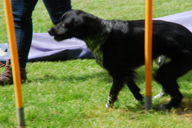 fête du club 18-06-2016