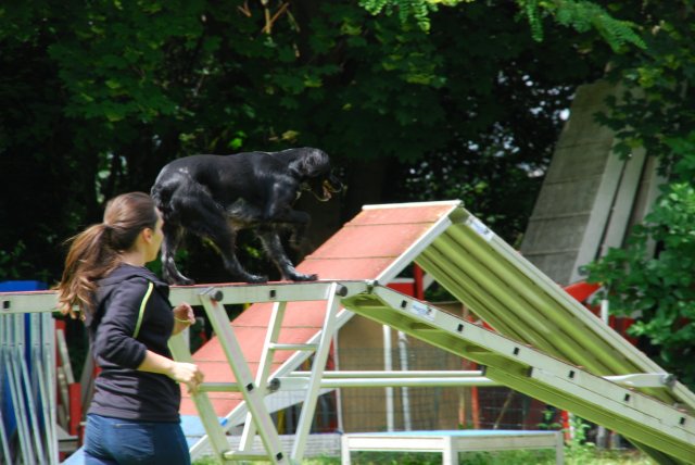 fête du club 18-06-2016