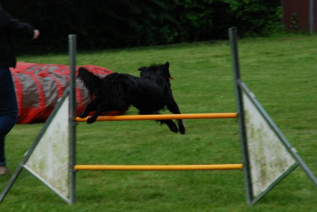 fête du club 18-06-2016