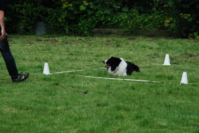 fête du club 18-06-2016