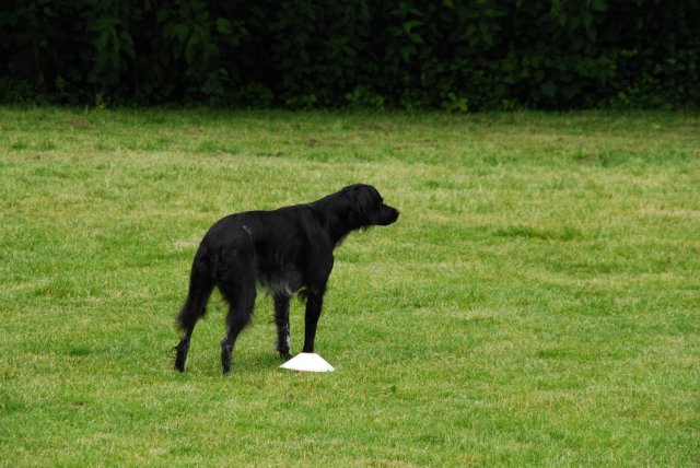 fête du club 18-06-2016