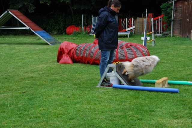 fête du club 18-06-2016