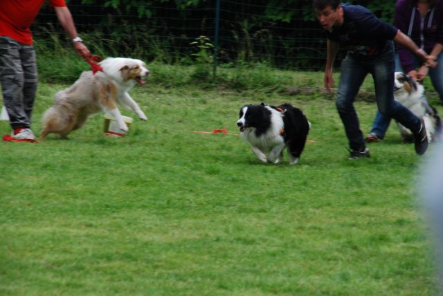 fête du club 18-06-2016