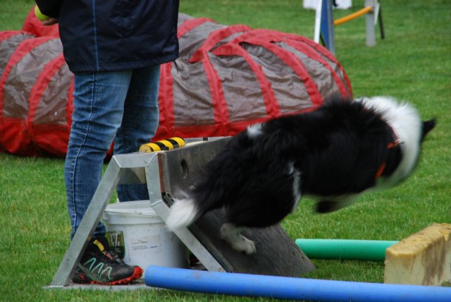 fête du club 18-06-2016