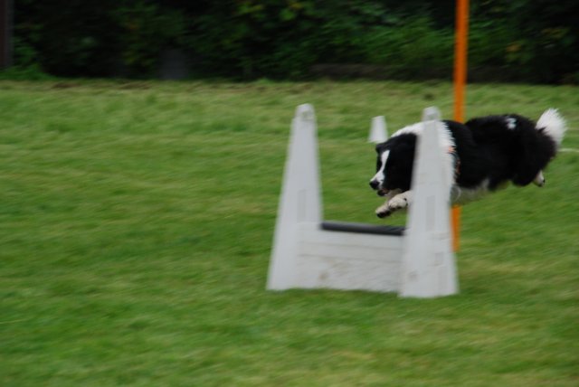 fête du club 18-06-2016