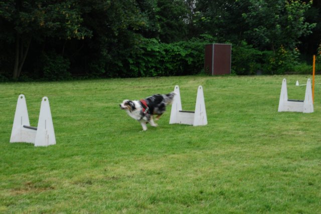 fête du club 18-06-2016