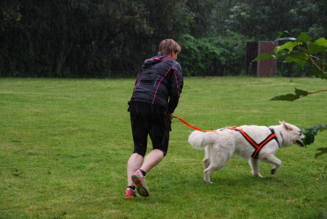 fête du club 18-06-2016