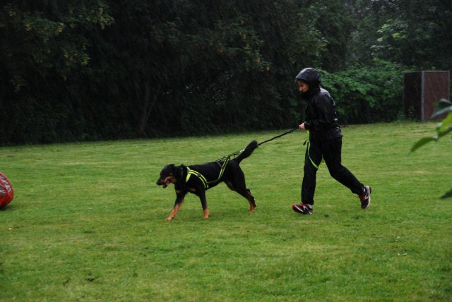 fête du club 18-06-2016