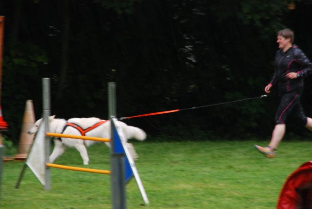 fête du club 18-06-2016