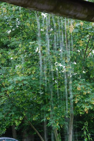 fête du club 18-06-2016