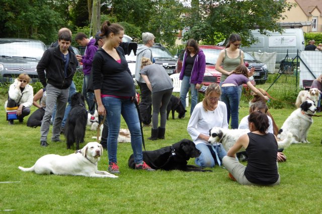 fête du club 18-06-2016