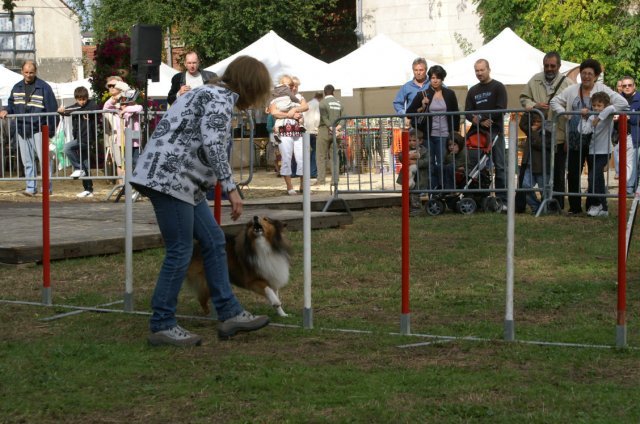 foire aux haricots septembre 2009