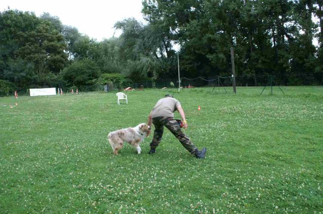 obeissance 2014-08-14