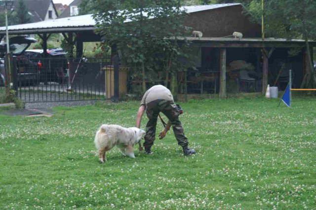 obeissance 2014-08-14