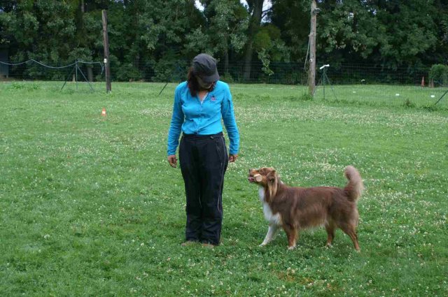 obeissance 2014-08-14