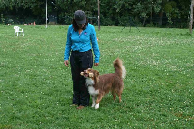 obeissance 2014-08-14