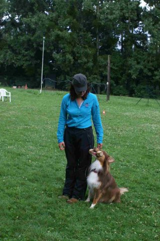 obeissance 2014-08-14