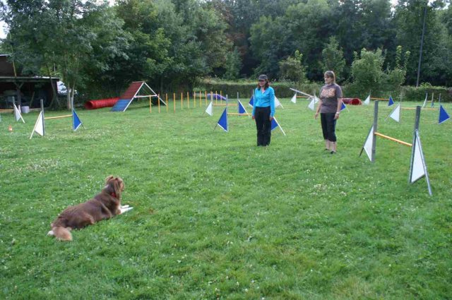 obeissance 2014-08-14