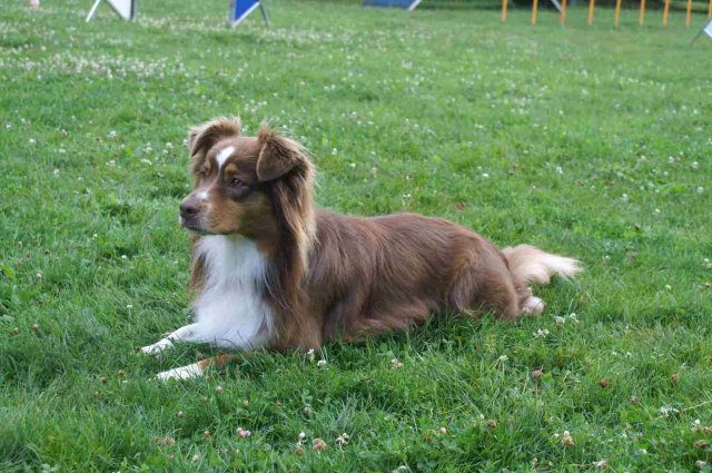 obeissance 2014-08-14