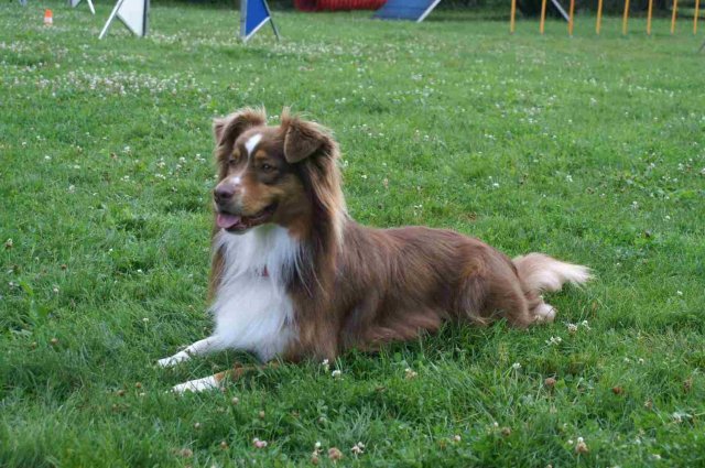 obeissance 2014-08-14