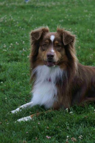 obeissance 2014-08-14